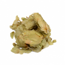 Humulus Lupulus 50g – Hops